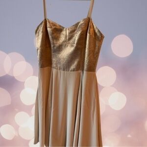 Express - Champagne Cocktail Dress